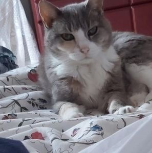 Meet your Posher, Sybille